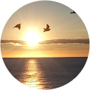 Sara Vallhonrat Sara Vallhonrat